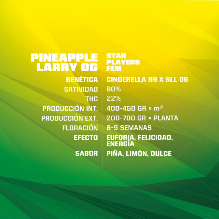 Pineapple Larry OG - Image 2