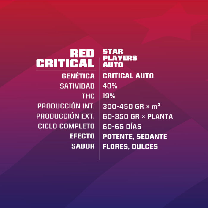 Red Critical Auto - Image 2