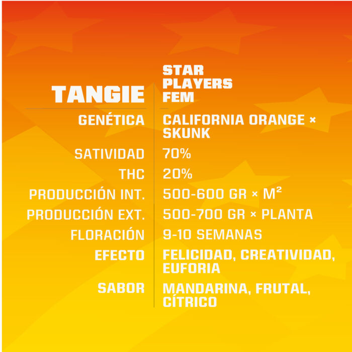 Tangie - Image 2