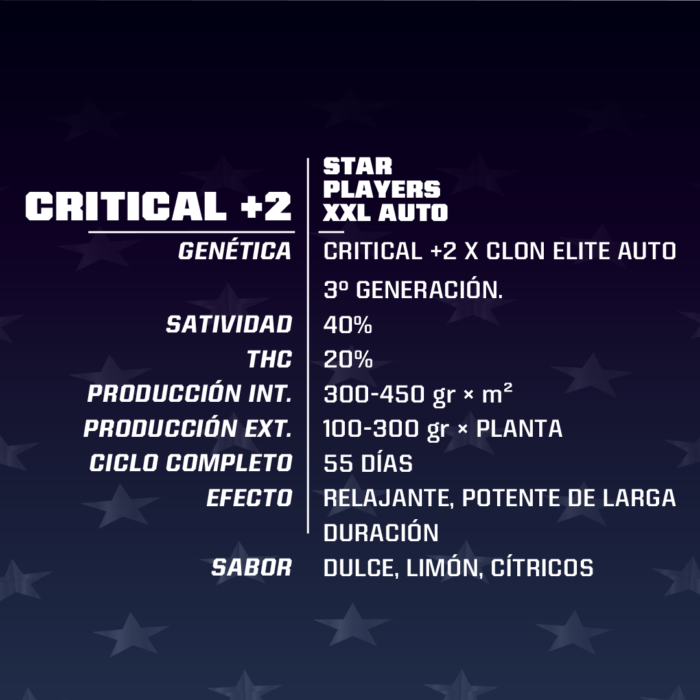 Critical +2 XXL Auto - Image 2