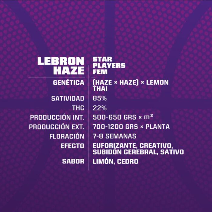 Lebron Haze - Image 2