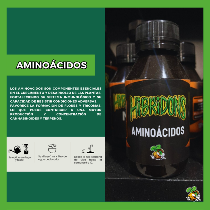 Hibridons Aminoacidos 100ml