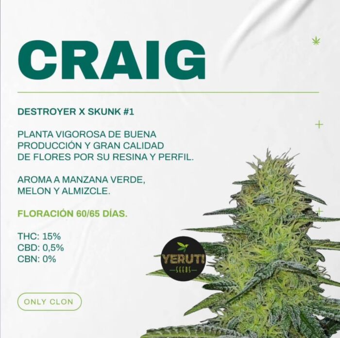 Esqueje Craig